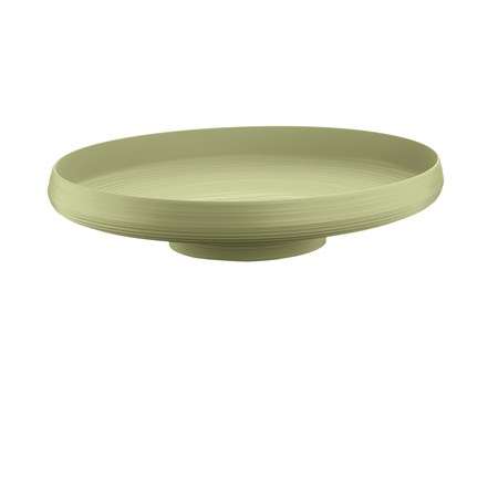 tierra centrotavola fruttiera verde alga